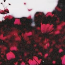 you've just received  free follow from @taixirwin lovely! Please return the favor and follow her! xoxo