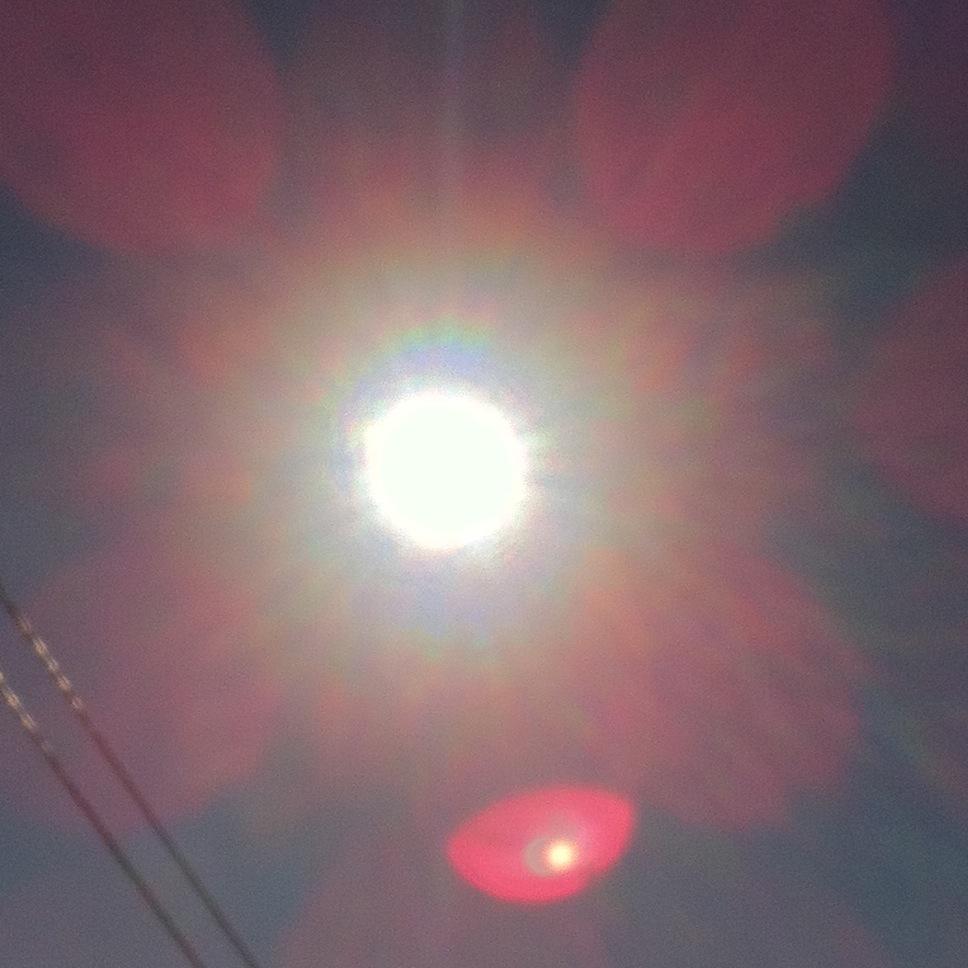 AlchemillaLuz's profile picture. 