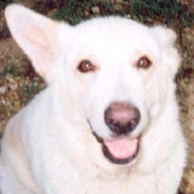Aviation promoter and Pilot . Just Flying through Life. Support Animals Big and Small. Feel Free to use my Postings! Wherever you are ... Fly somewhere else [s]