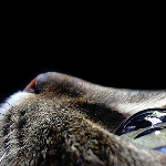 solaz81's profile picture. ¿:-?