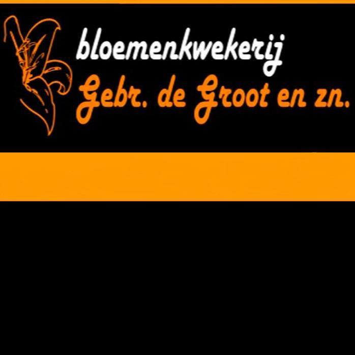 Bloemenkwekerij in Heemskerk richt zich op het telen van tulpen, anjers en eremures.Wij streven naar topkwaliteit en een exclusief assortiment.lid van coastulip