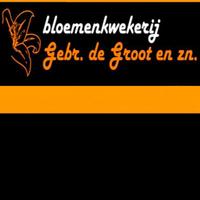 Gebr. de Groot en zn (@gebrdegroot) 's Twitter Profile