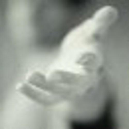 eevan2x Profile Picture