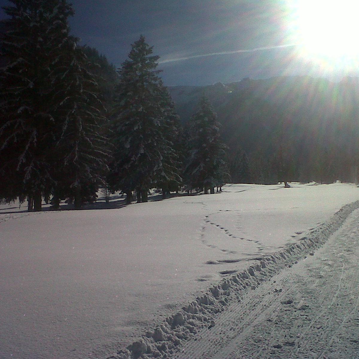 webbzyorkshire's profile picture. signcraft / tkproperties