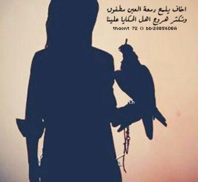 motna_najran Profile Picture
