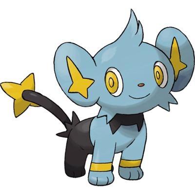 Male shinx | Level 4 | Nature : Gentle/Timid | Wild | Parents Captured | Owner/Trainer : @KevinSerman_