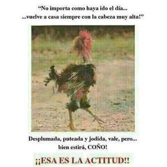 De izquierdas. ROJA
💜💜💜 SI SE PUEDE  🇯🇴