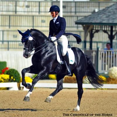 Your cliche horse instagram in 120 characters or less