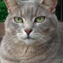 Helena Carr - @HelenaCarr00 - Twitter