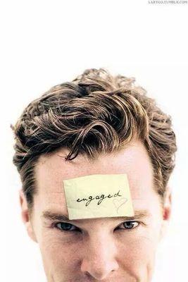Sherlockian.So obviously Cumbercookie. Self proclaimed singer.Sonu Nigam. Ed Sheeran.TRDP