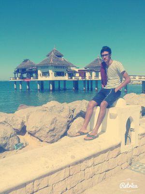 Picture