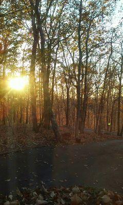 I am a natural encourager!  Through my twitter account, I hope my tweets encourage you to live with freedom & joy!