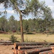 Seguimiento dia a dia, de todo lo referente a la Campaña Forestal 2023 #iiff #iuf #incendi