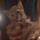 Barbara Morrell - @BarbaraMorrell6 - Twitter