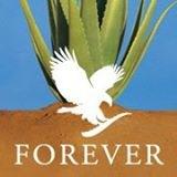 Independent distributer of Forever Living Products in the UK. DM for shop information and discount offers!