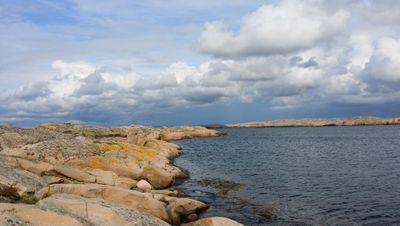 eckers66's profile picture. 