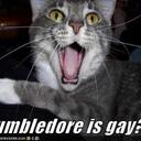 Mindy AAron Woon - @iammindywoon - Twitter