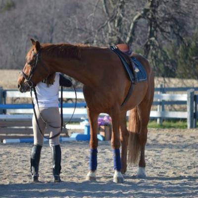 if the ride gets tough you get tougher. cassandra.17. future vet