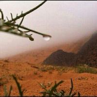 فهد الغامدي (@duos2egmailcom1) 's Twitter Profile