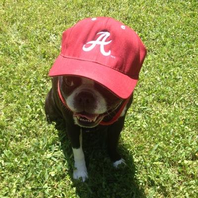 BlackWatson14's profile picture. 