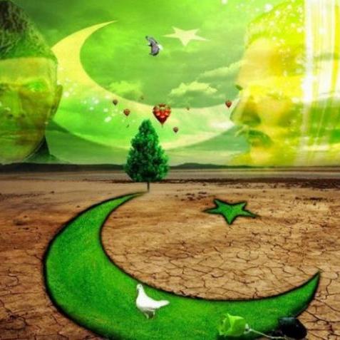 Yaseenalamchd's profile picture. 