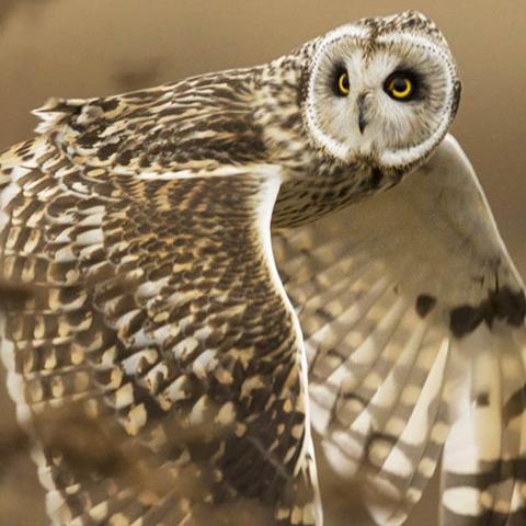 pqcrypto's profile picture. 