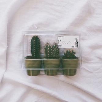 rrrrrrrrant's profile picture. change is the only constant