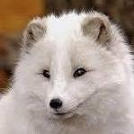 erbe483's profile picture. 