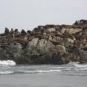 ivon vasquez yañez - @brisacobque - Twitter