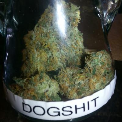 OriginalStrains's profile picture. The Original Strains Co. is the premier clothing company for the cannabis connoisseur, est. December 1999.