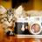 Globalgatuno's profile image