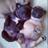 BestPuppiesPix's profile image