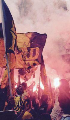 osama_77o's profile picture. 