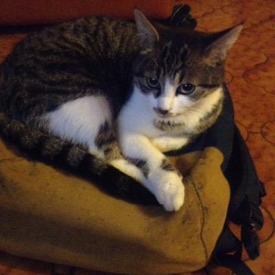 supergholie1's profile picture. 