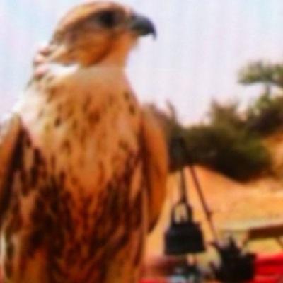 بكره تزين بأذن الله🇰🇼