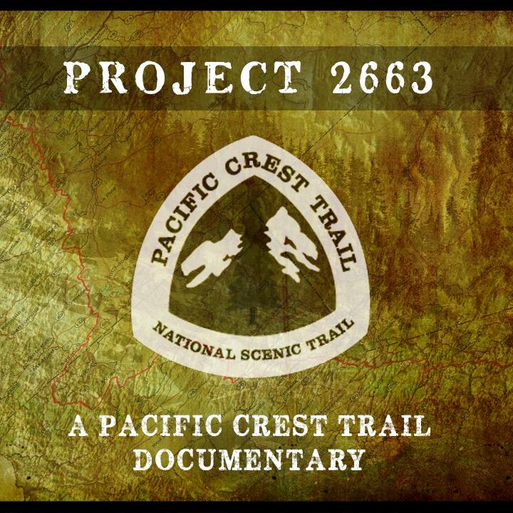 Project2663's profile picture. 