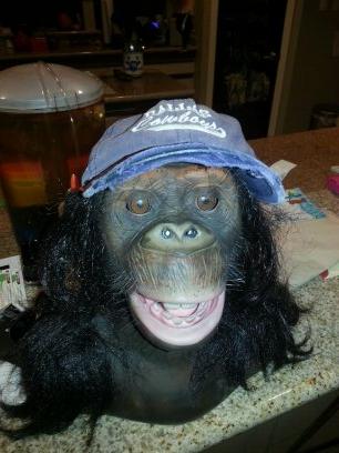 ScottCGIlmore's profile picture. Dallasite living in Houston.