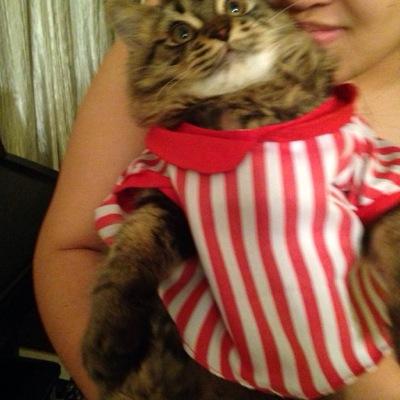 simbas biggest fan @2002dallon