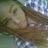 Ashlee_CeCe's profile image