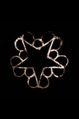 BVBArmy