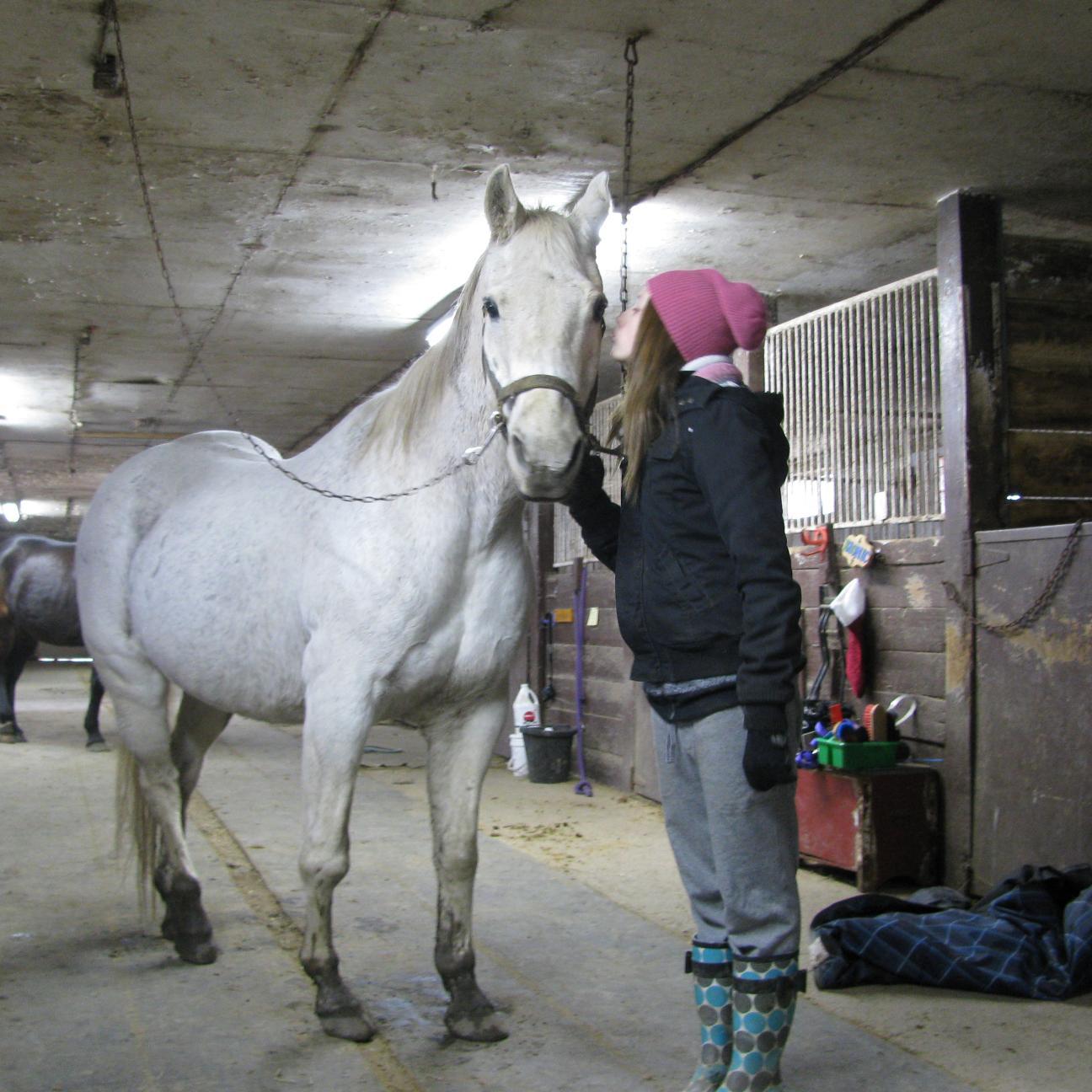 shawbish's profile picture. I ride at Riverivew, Western, I ride my babies Sunny, Skippy and Moon. Follow for follow?