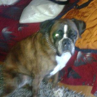 ericfitzmola's profile picture. hola amigos