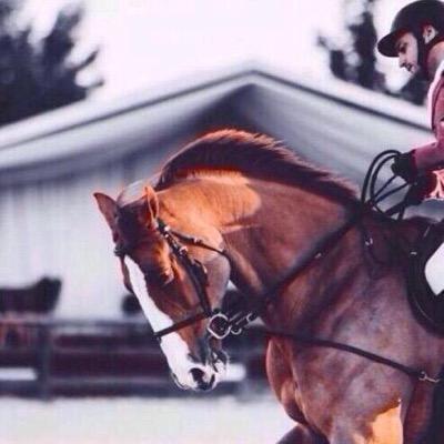 MHSAND7's profile picture. Software Developer 👨🏻‍💻🤖