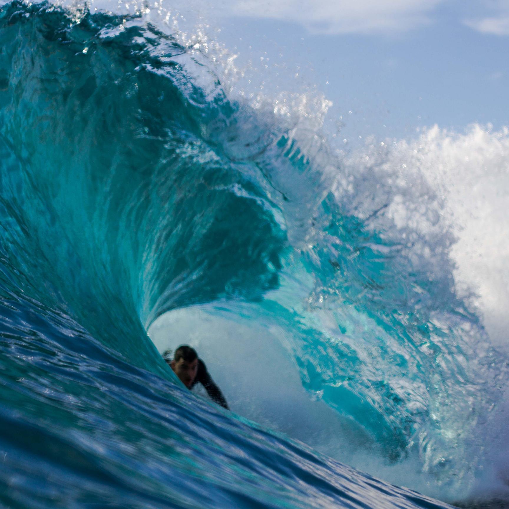 RichyBosch's profile picture. FOTO-VIDEO-BODYBOARD-SURF-NATURE
