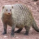 Alan Hanna - @alanjhanna - Twitter