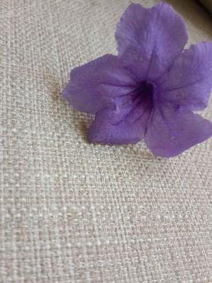 PloyPurploy's profile picture. 