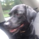 Jamie Boynton - @boynts63 - Twitter