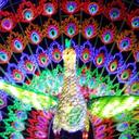 Becky Bloom - @bloominatx - Twitter