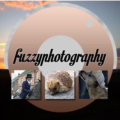 fuzzyphotograph's profile picture. Photographer