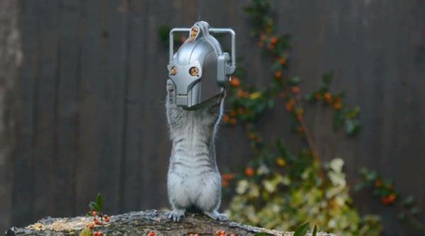 Gustav_maarman's profile picture. 